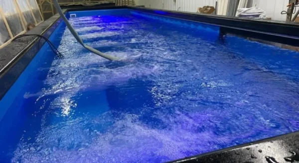 u4-800x437-1.webp 40 Ft Container Pool